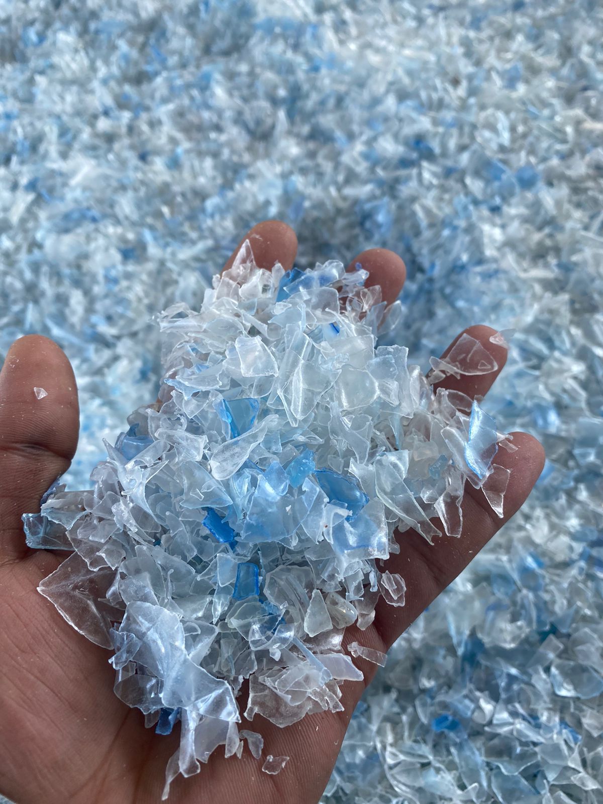 صورة الواتس اب 2024-11-12 الساعة 21.25.57